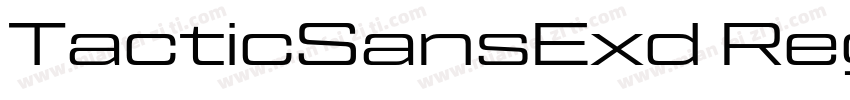 TacticSansExd Reg字体转换